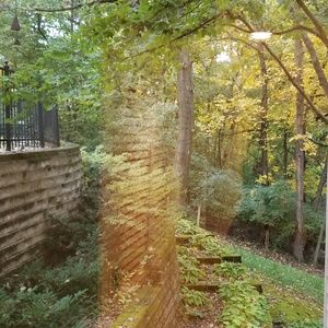 Meet your Posher, Jasmin